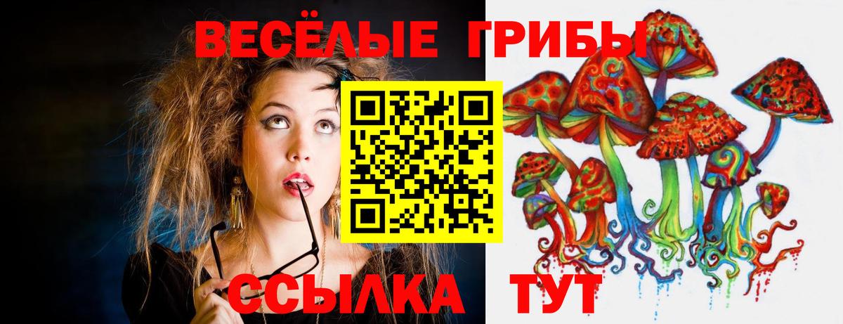Галлюциногенные грибы Psilocybe Учалы